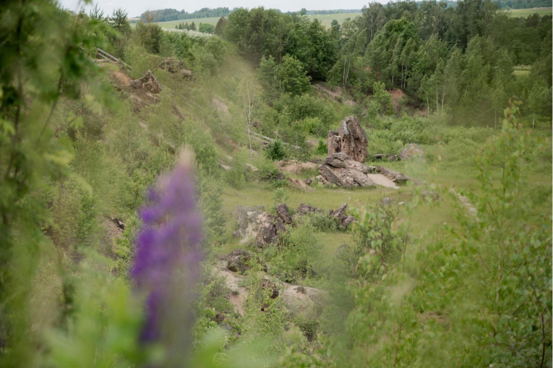 Rest Green Degesiai Экстерьер фото
