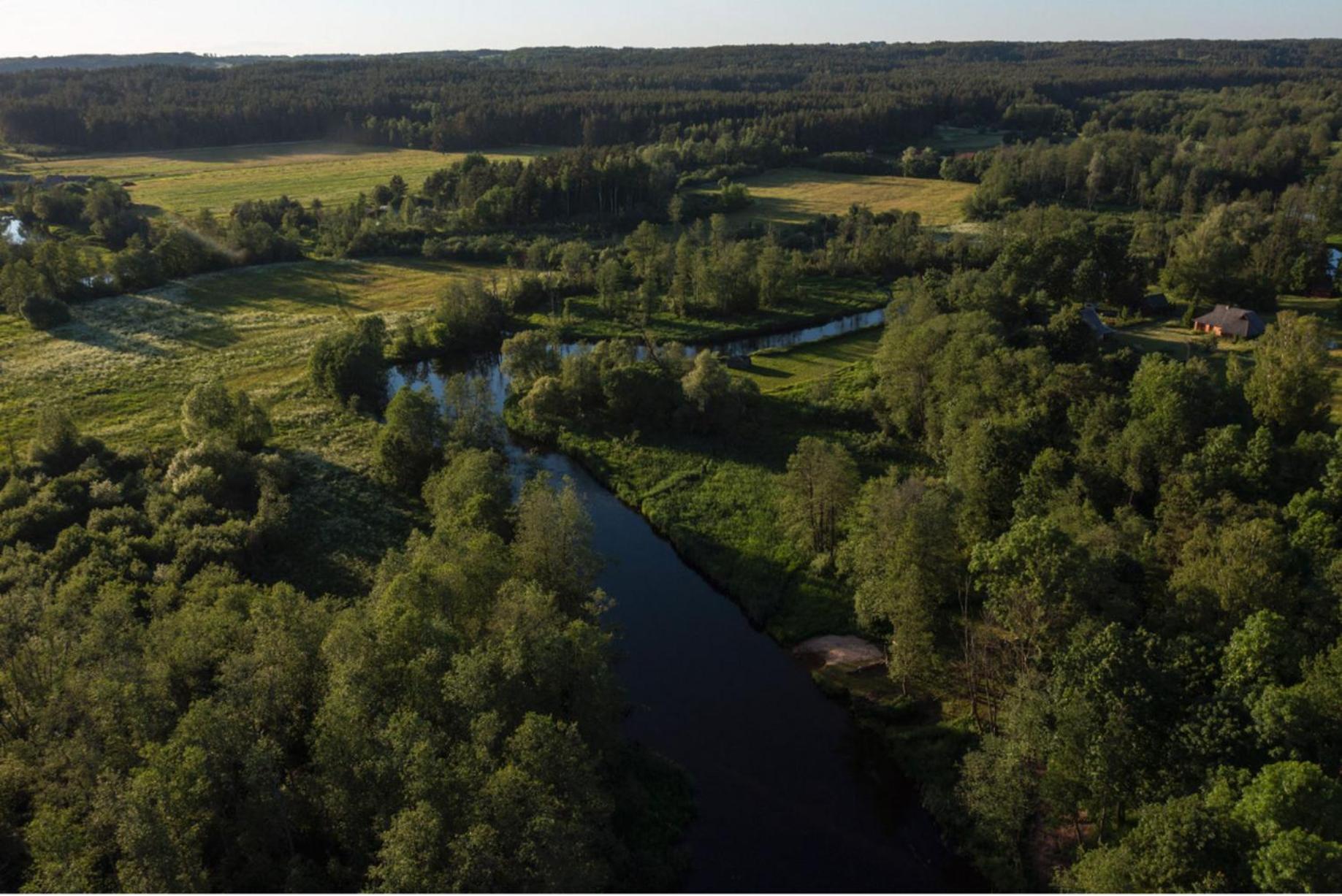 Rest Green Degesiai Экстерьер фото